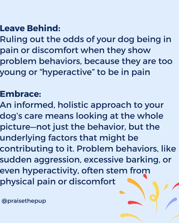 Let's leave behind the idea that young or "hyperactive" dogs can't be in pain. I embrace a holistic approach that always considers physical discomfort as a potential root cause of problem behaviors.