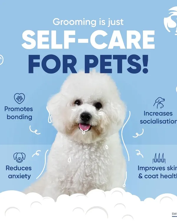 Grooming is a form of self-care for pets that goes beyond looks. It improves their skin and coat, reduces anxiety, and strengthens the bond they share with you.
