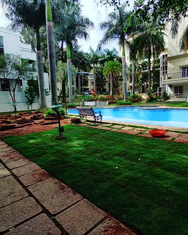 This is the result of a poolside landscaping project I completed. I laid a full Mexican lawn and added stone pathways to create a relaxing, green space for the family.