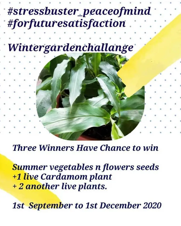 Announcing our winter garden challenge. This is an invitation for our community to grow flowers and vegetables together over three months, with a chance to win live plants and seeds.