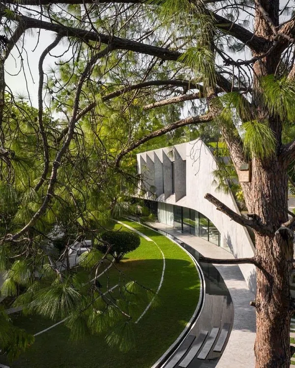 Villa KD 45, a recently completed private residence, viewed through the branches of a mature pine tree. The design uses a curving form and a green roof to merge with the lush landscape.