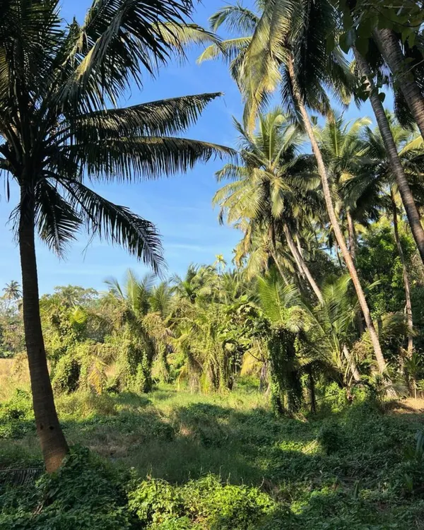The design process always begins on-site. Understanding the land’s unique character, from the quality of the light to the existing flora, is not just a canvas for our buildings but a fundamental collaborator in the design journey.