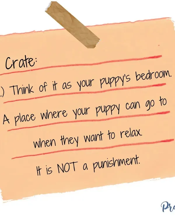 Let's redefine the crate. Think of it as your puppy's bedroom, a place where they can go to relax and feel safe. It is never, ever a punishment.