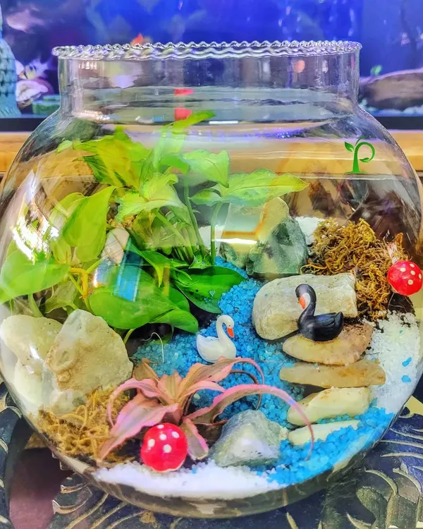 This beautiful terrarium, a 'jungle in a bowl', was a special gift sent to a loved one in Mumbai all the way from Canada. I love creating these personalized miniature worlds that carry so much emotion and bring lasting joy.