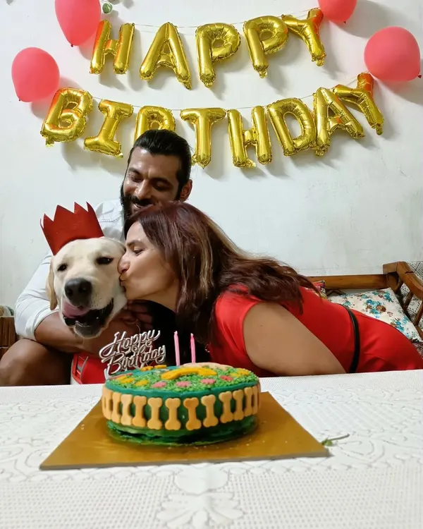 This is what pure happiness looks like. I love creating these moments for pet parents and their babies, like for Pablo the Labrador's birthday. Here he is, looking like a king in his party crown, getting all the love from his family, right before digging into his special dog-friendly birthday cake.