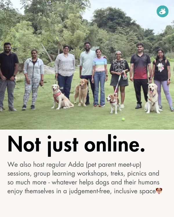 We believe that pet parenting is better when done together. That's why we host regular 'Adda' sessions, which are our pet parent meet-ups, to help dogs and their humans connect and enjoy themselves in a judgement-free, inclusive space.