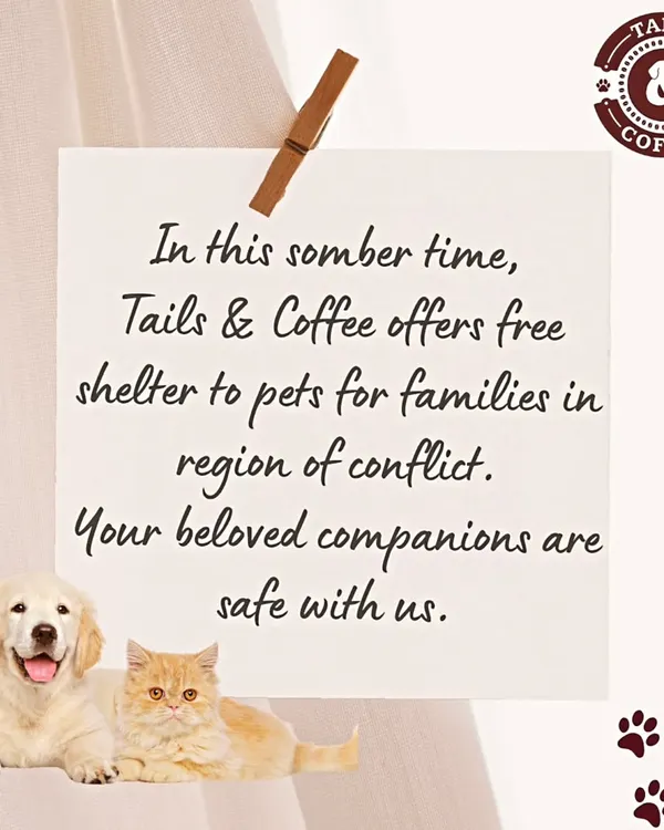 We are more than a business; we are part of the community. During times of conflict, we offer free shelter to pets of armed forces families. Your beloved companions are always safe with us.