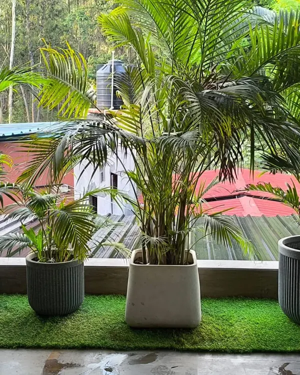 This balcony was transformed into a vibrant garden space by adding artificial grass. It serves as a perfect green base for the large potted palm plants, creating a tropical feel right outside the apartment door.