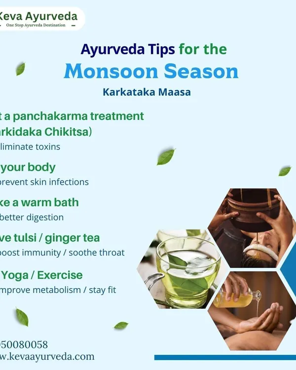 During the monsoon season, or Karkataka Maasa, we recommend specific Ayurvedic practices to stay healthy. This includes undergoing a Panchakarma treatment, regular oil application, taking warm baths, and drinking herbal teas to boost immunity.