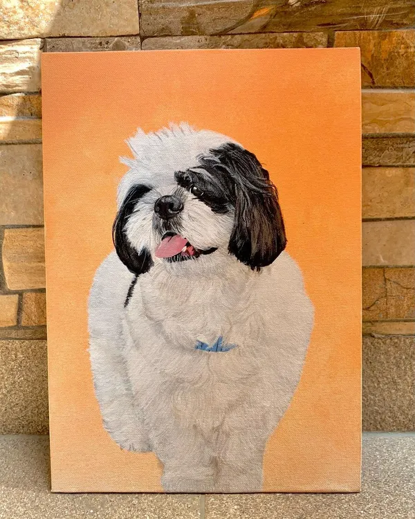 A custom commissioned portrait of a fluffy Shih Tzu. I spent hours on the fur, using a million tiny strokes to capture its texture and the dog's happy expression.
