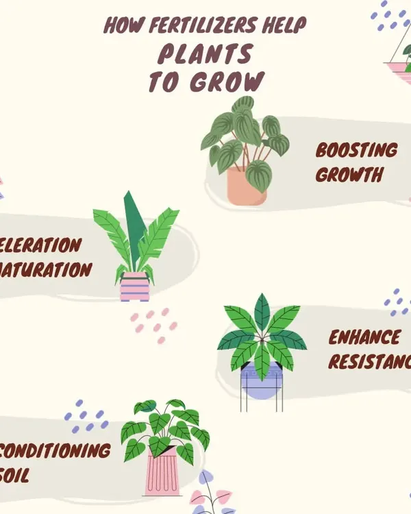Fertilizers are food for your plants. They help by boosting growth, accelerating maturation, enhancing resistance to disease, and conditioning the soil for long-term health.