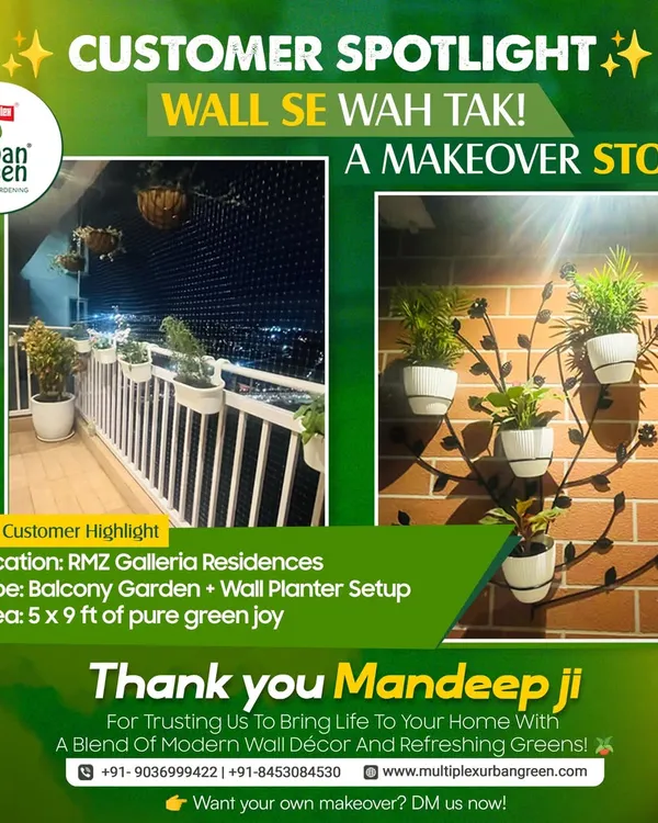 We transformed this balcony at RMZ Galleria Residences from a plain wall into a vibrant green space. This makeover features a modern wall planter setup and railing planters, creating a 5x9 ft area of pure, refreshing greenery for our client, Mandeep ji.