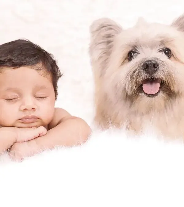 A sleepy baby and a happy, alert dog make the perfect pair. I use a simple, clean white background to keep the focus on these two best friends.