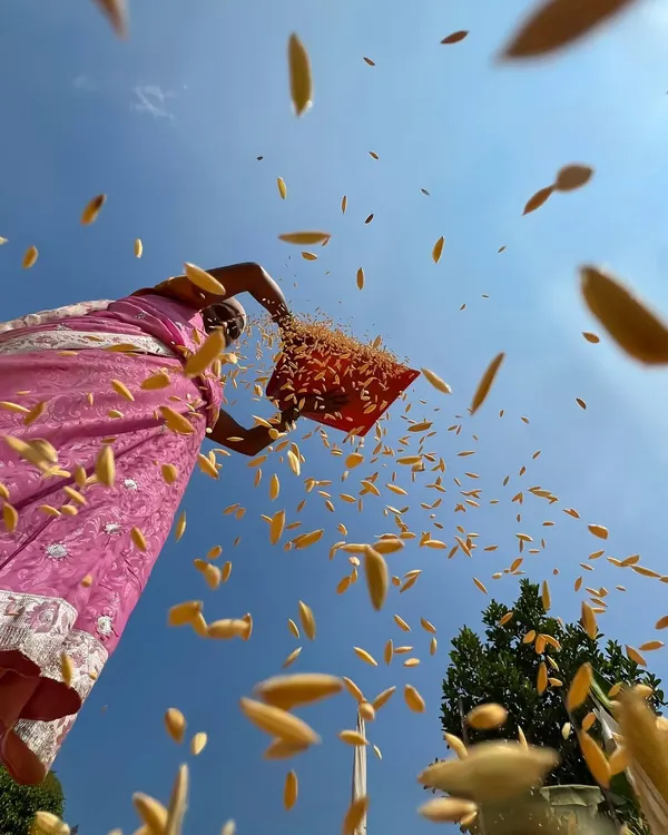 A low-angle shot captures a woman in a pink saree winnowing grain against a bright blue sky. This dynamic phone photo freezes the falling grains in mid-air, creating a beautiful, energetic scene.