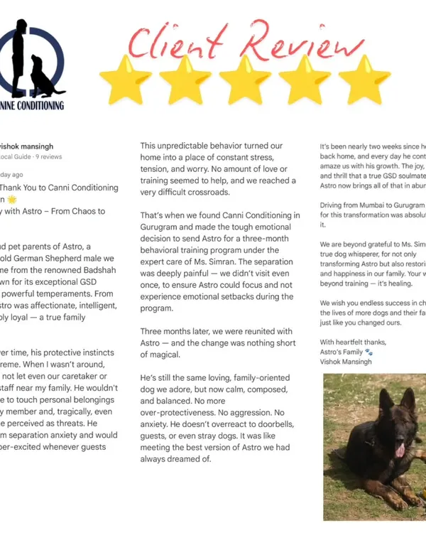 5 stars for Astro, 5 stars for us! This detailed review from Astro's owner, who sent him from Mumbai for a three-month program, speaks volumes about the transformation we achieved. Thank you for the trust.