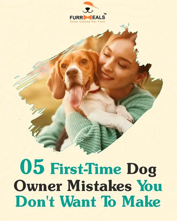 Are you a first-time dog owner? This guide covers five common mistakes you don't want to make, from training and exercise to feeding, to help you raise a happy and well-behaved puppy from the start.
