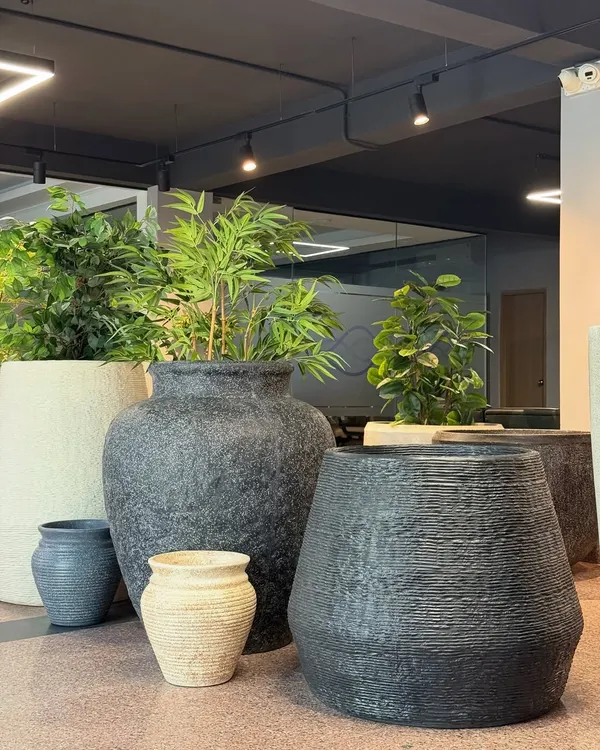 Something for every budget, space, and story. A collection of our textured planters in various shapes and sizes, perfect for creating a stylish plant cluster.
