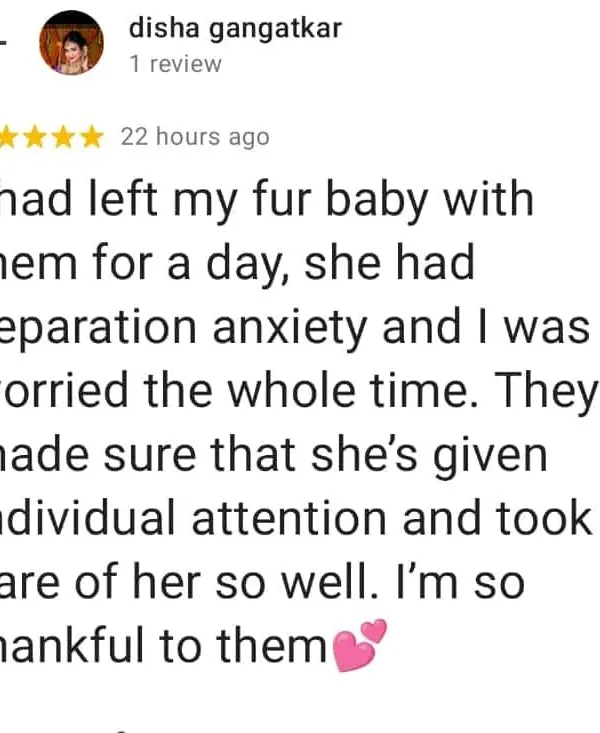 We were so happy to help Disha's fur baby with her separation anxiety. Providing individual attention and care is what we do best, and we're thankful for her trust in us.