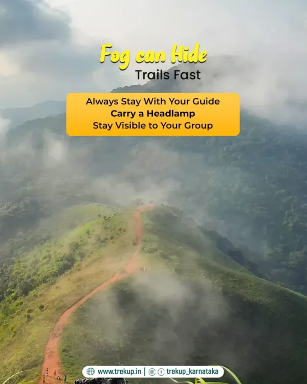 A crucial safety tip for monsoon treks: fog can hide trails fast. I always advise trekkers to stay with their guide and carry a headlamp.