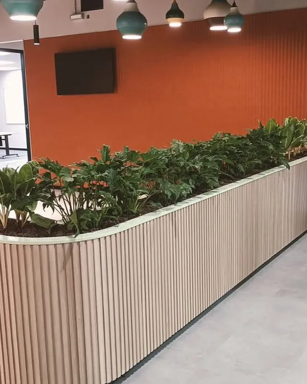 This built-in planter acts as a natural and beautiful divider in a busy office hallway. The wooden fluted paneling complements the lush green foliage, creating a sophisticated design element that also improves the office environment.