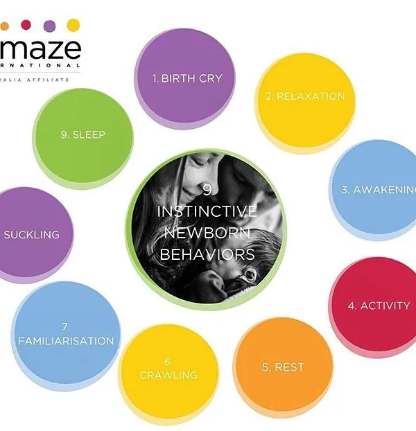 A newborn has nine instinctive stages in the first hour after birth when held skin-to-skin, from the first birth cry to crawling, suckling, and finally sleeping. Understanding this helps you protect that magical first hour.