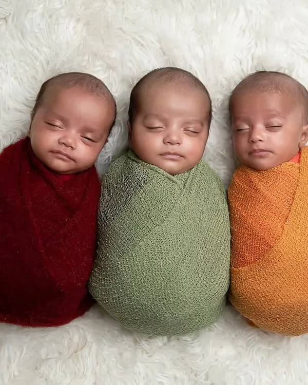 Three times the love. Here are beautiful newborn triplets, each swaddled in a different warm color, sleeping peacefully side-by-side.