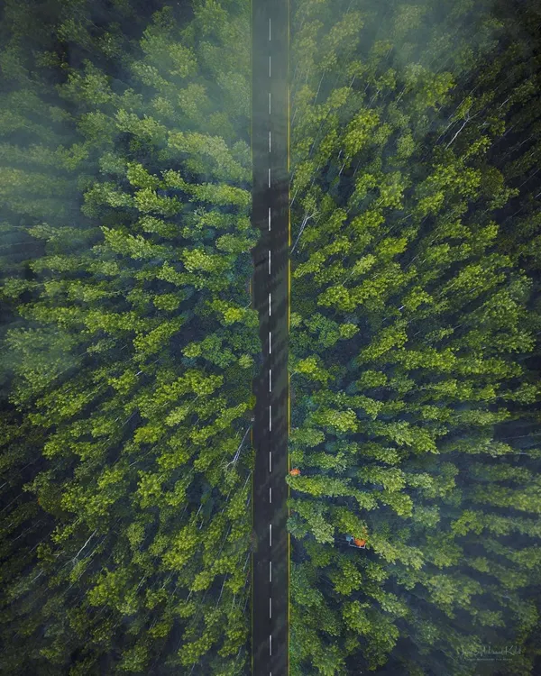 This stunning aerial view captures a road cutting through a lush green forest, a perfect example of the high-impact drone photography available through our network for travel, commercial, or artistic projects.