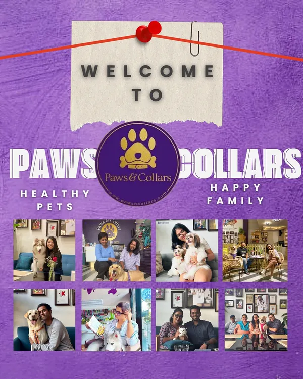 Welcome to PawsnCollars, where our motto is "Healthy Pets, Happy Family." This collage showcases the heart of our brand: the joyful moments and strong bonds between pets and their people that we are proud to be a part of.