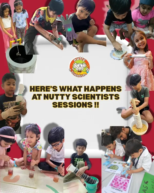 This collage captures the essence of a Nutty Scientists session: hands-on experiments, focused learning, messy fun, and proud creators.