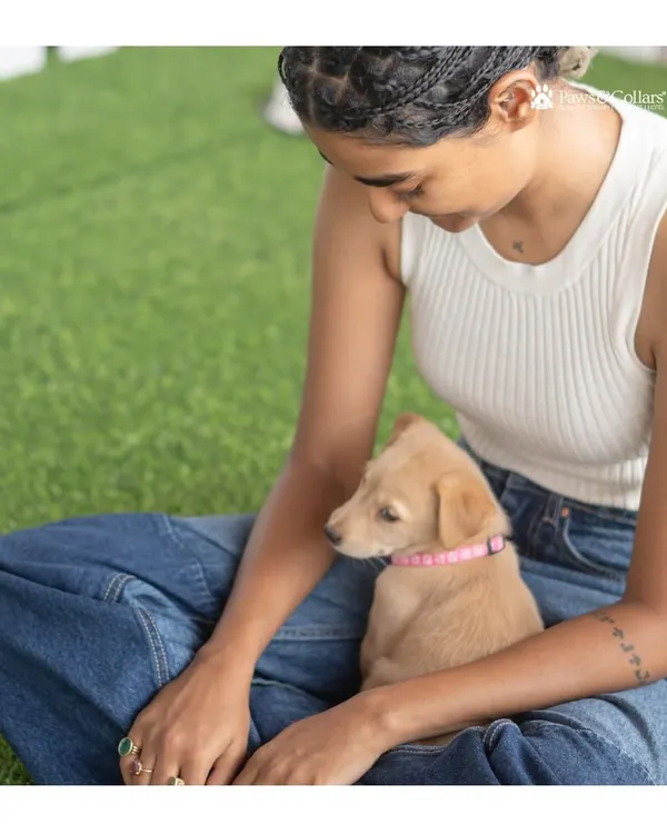 A quiet moment of connection. An adoptable puppy rests safely in the lap of a potential new parent during our adoption event.