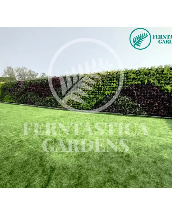 A wide view of one of our large-scale vertical garden installations. We use a variety of plants with different colors and textures to create a dynamic, waving pattern across the wall.