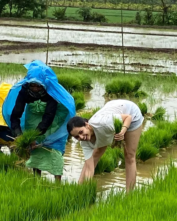 There's a deep connection that comes from participating in the process of growing your food. Here I am, planting rice in the paddy fields. Understanding where our food comes from fosters gratitude and a healthier relationship with what we eat.