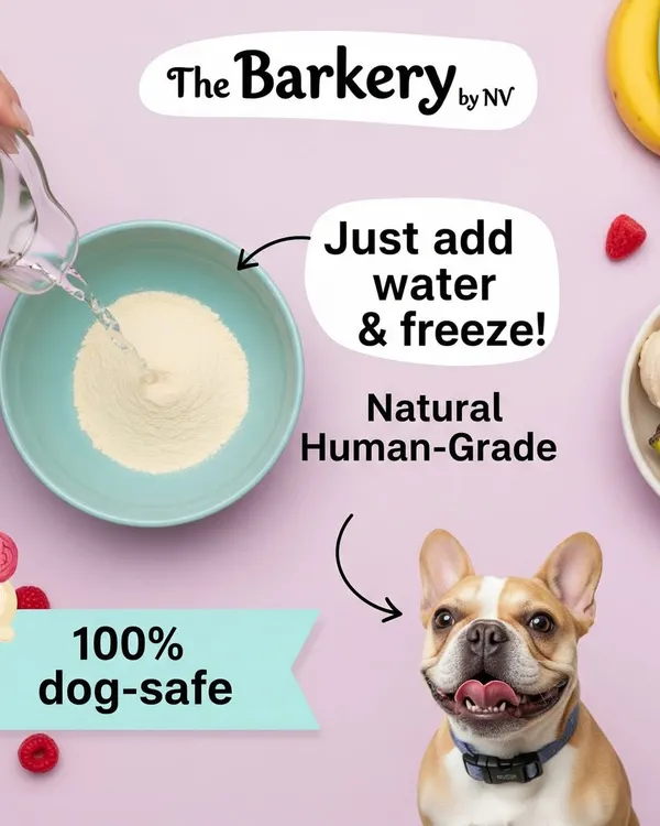 Making a treat for your dog has never been easier. My dog-safe ice cream mix is made with natural, human-grade ingredients. Just add water and freeze for a 100% dog-safe and delicious frozen snack.