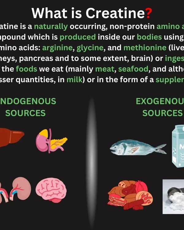 What is Creatine? It's a naturally occurring amino acid compound, not a steroid. This infographic breaks down where it comes from, both from food and what your body produces.