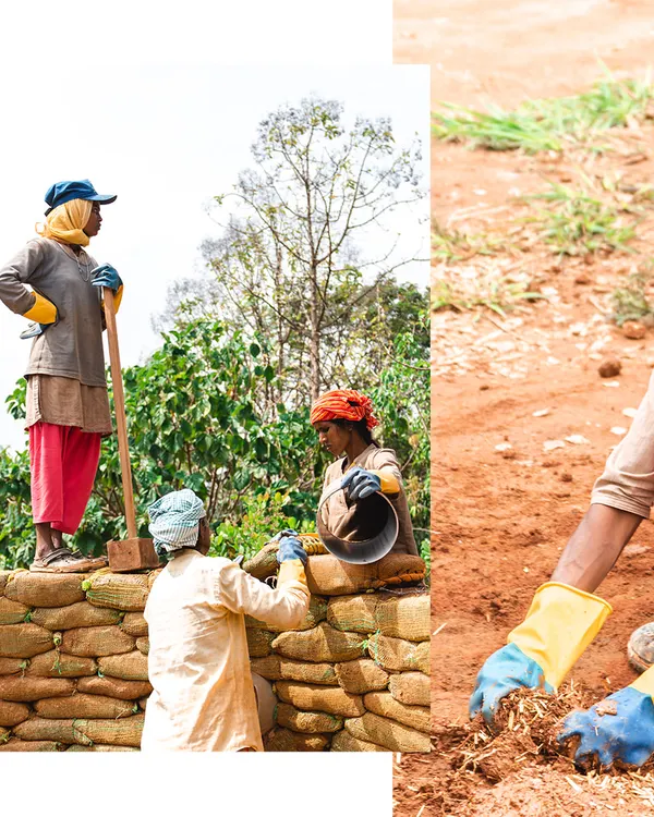 Our team of women masons working together to build an earthbag wall. This image captures the collaboration and skill-building that is central to our training programs for women in construction.