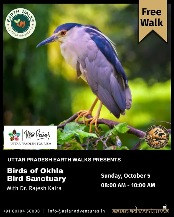 An announcement for our free bird walk at Okhla Bird Sanctuary, featuring the Black-crowned Night Heron. These walks, led by naturalists like Dr. Rajesh Kalra, are a perfect introduction to the rich avian life in Uttar Pradesh's urban wetlands.