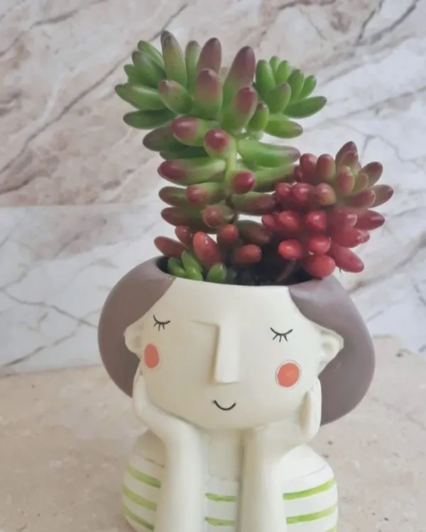 These mini planters shaped like serene, blushing characters are a customer favorite. Planted with colorful succulents, they make for a charming and whimsical gift for a friend or loved one.