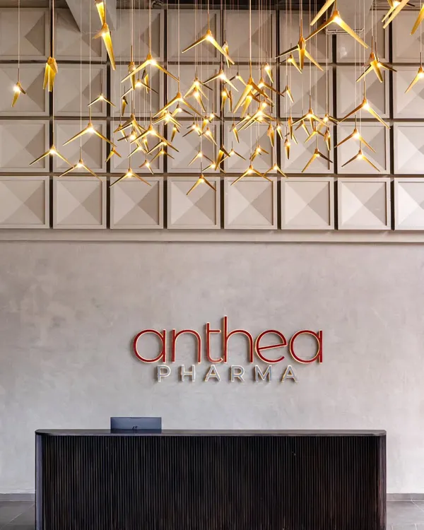 The reception area for Anthea Pharma, where custom-designed concrete panels and elegant floating bird lights create a striking first impression. The dark wenge-stained teakwood desk provides a sophisticated contrast, establishing a professional and modern corporate identity.