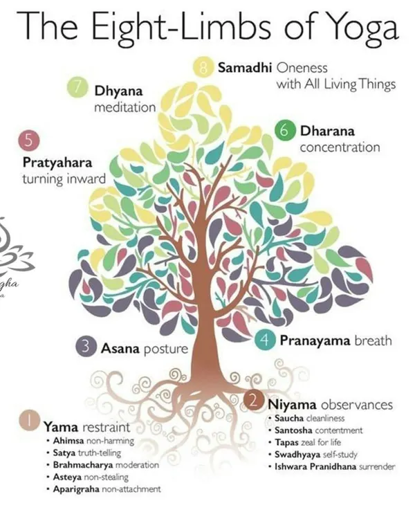 This image represents the core of my practice: a holistic, eight-limbed path to wellness that goes far beyond physical postures. My approach to therapeutic yoga integrates mind, body, and breath to foster deep, lasting healing.