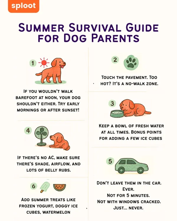Summer is here! Keep your pup safe with these essential tips, from checking the pavement temperature to never, ever leaving them in a car.