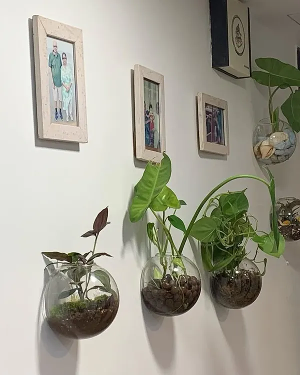 A gallery wall of living plants. I used a series of hanging glass bowl terrariums to display different types of small indoor plants, turning a simple hallway into a dynamic and green focal point.