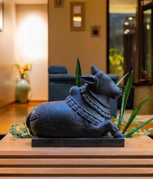A close-up of the handcrafted stone Nandi that sits at the center of the courtyard in our "Between Two Trees" project. This sacred element brings a sense of peace and tradition to the home.