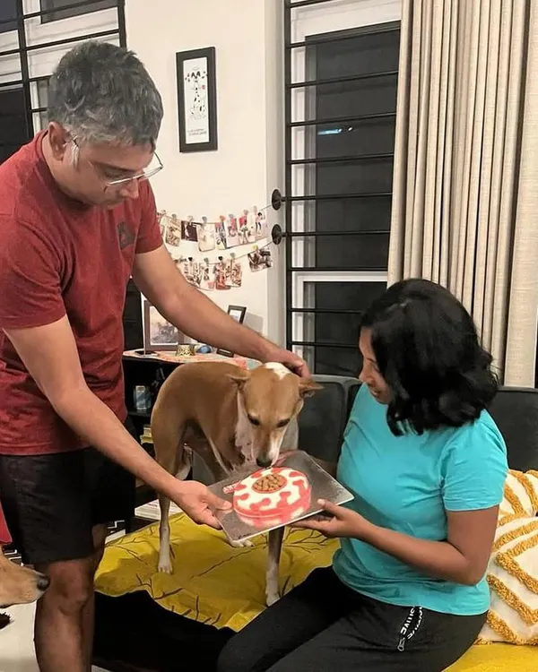 This is the heartwarming homecoming story of Lucky, a resilient indie who found her forever home after an accident. I was so honored to provide the cake for her "Welcome Home" celebration.