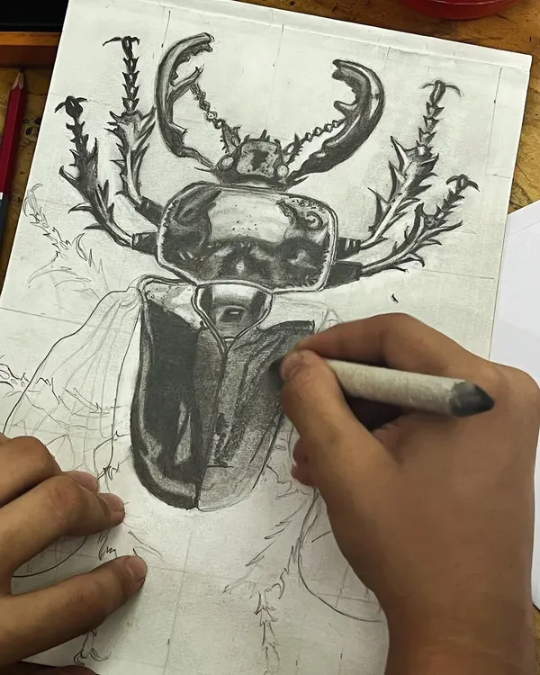 A student works on a detailed sketch of a beetle, using a blending stump to create smooth shading and realistic textures.
