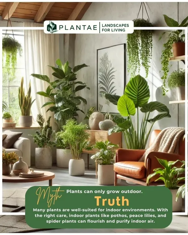 It's a myth that plants only belong outdoors. Many species, like the Pothos and Peace Lily shown here, are perfectly adapted to indoor environments and work to purify the air you breathe.