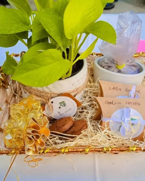 This is what a truly memorable corporate gift looks like. I assembled this custom hamper with a vibrant neon pothos, organic cookies, and DIY seed kits for garlic chives and lady finger. It’s a complete package of green goodness, perfect for client onboarding or employee appreciation.