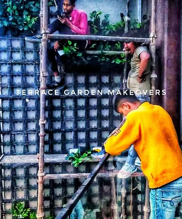 My dedicated team at work on a multi-story vertical garden installation. We use professional scaffolding and equipment to ensure the job is done safely and efficiently, no matter the scale of the project.
