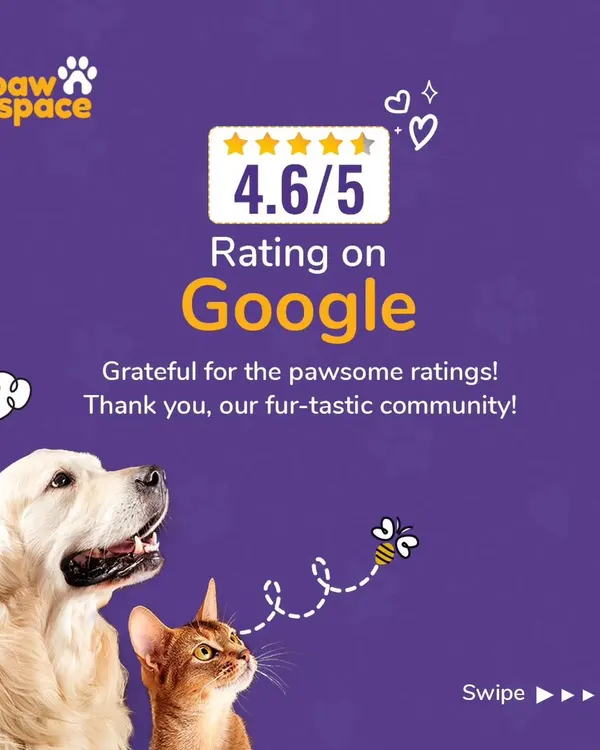 We are so proud of our 4.6/5 rating on Google. This reflects our commitment to providing a reliable, safe, and friendly pet cab service that pet parents in our community trust.