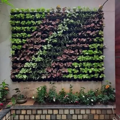 This is a living vertical garden I created for a client's wall. I used a variety of real, low-maintenance plants to create this beautiful green pattern. I also provide regular maintenance to keep these living walls healthy and thriving.