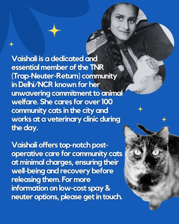 This is Vaishali, a key member of our TNR community in Delhi/NCR. She provides amazing post-operative care at minimal charges, making sure every cat recovers fully and comfortably after their spay or neuter surgery.